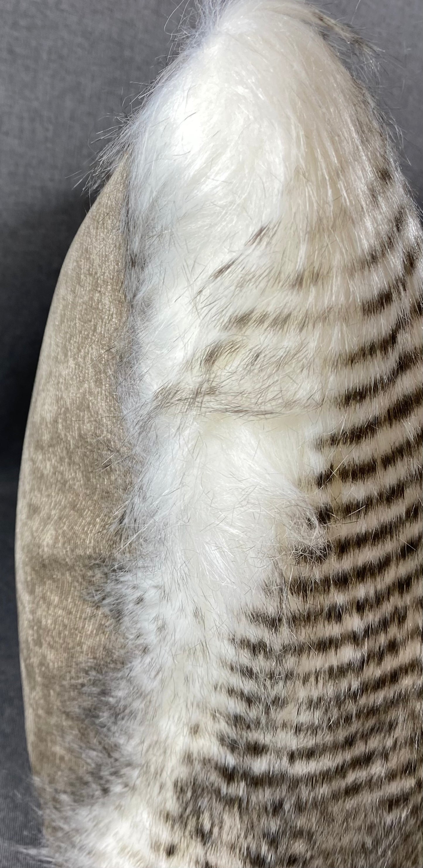 Luxury Lumbar Pillow - 24" x 14" - Alaskan Hawk