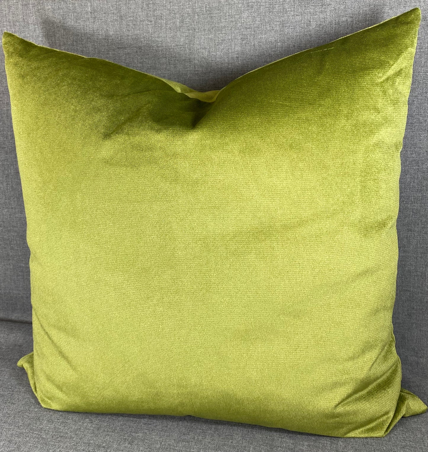 Luxury Pillow - 24” x 24” - Belvedere Aloe