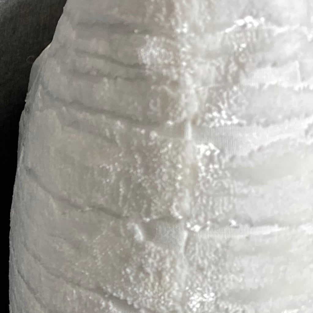 Wake Coconut – 24" × 14" Luxury Lumbar Pillow
