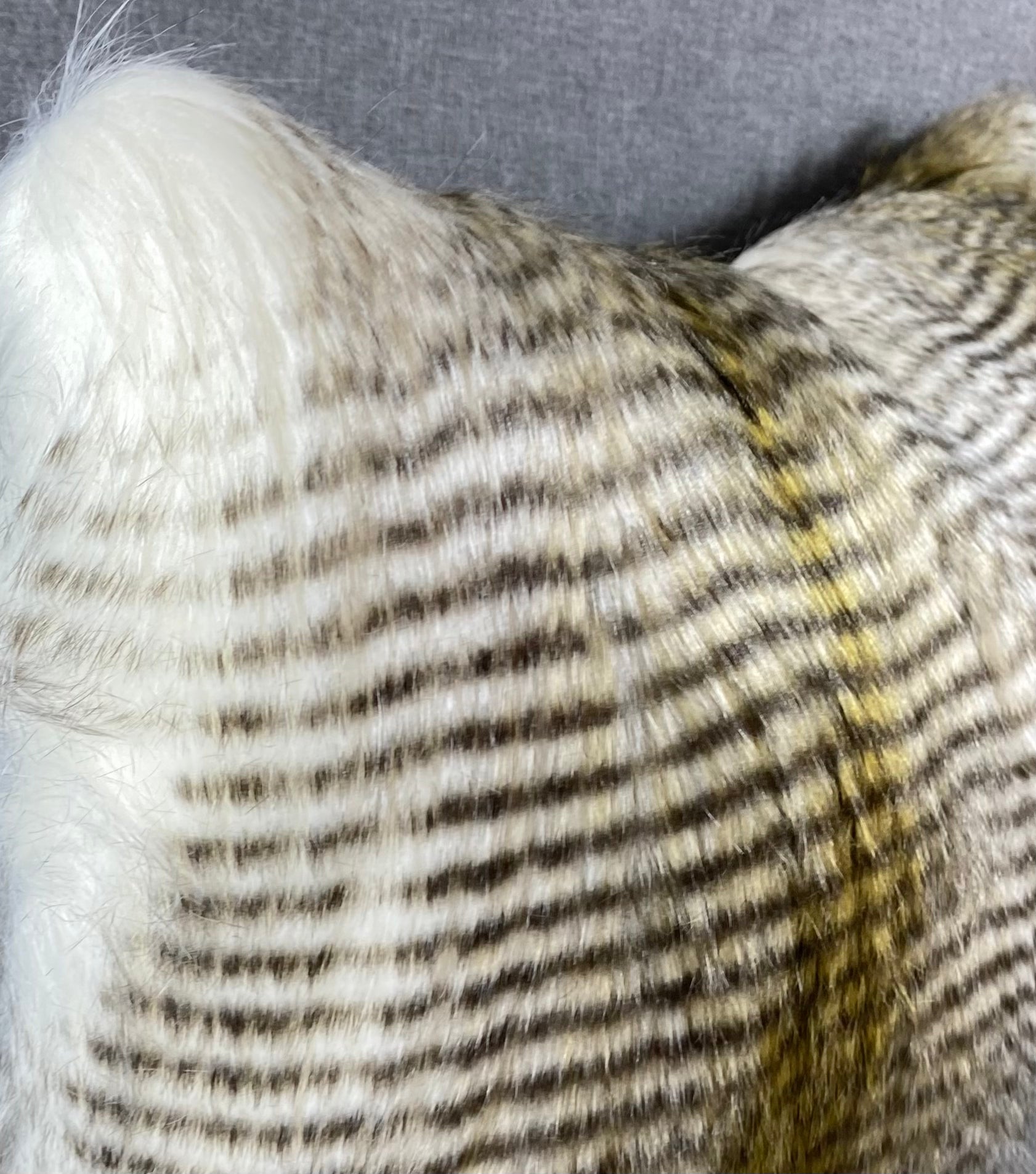 Luxury Lumbar Pillow - 24" x 14"-  Alaskan Hawk