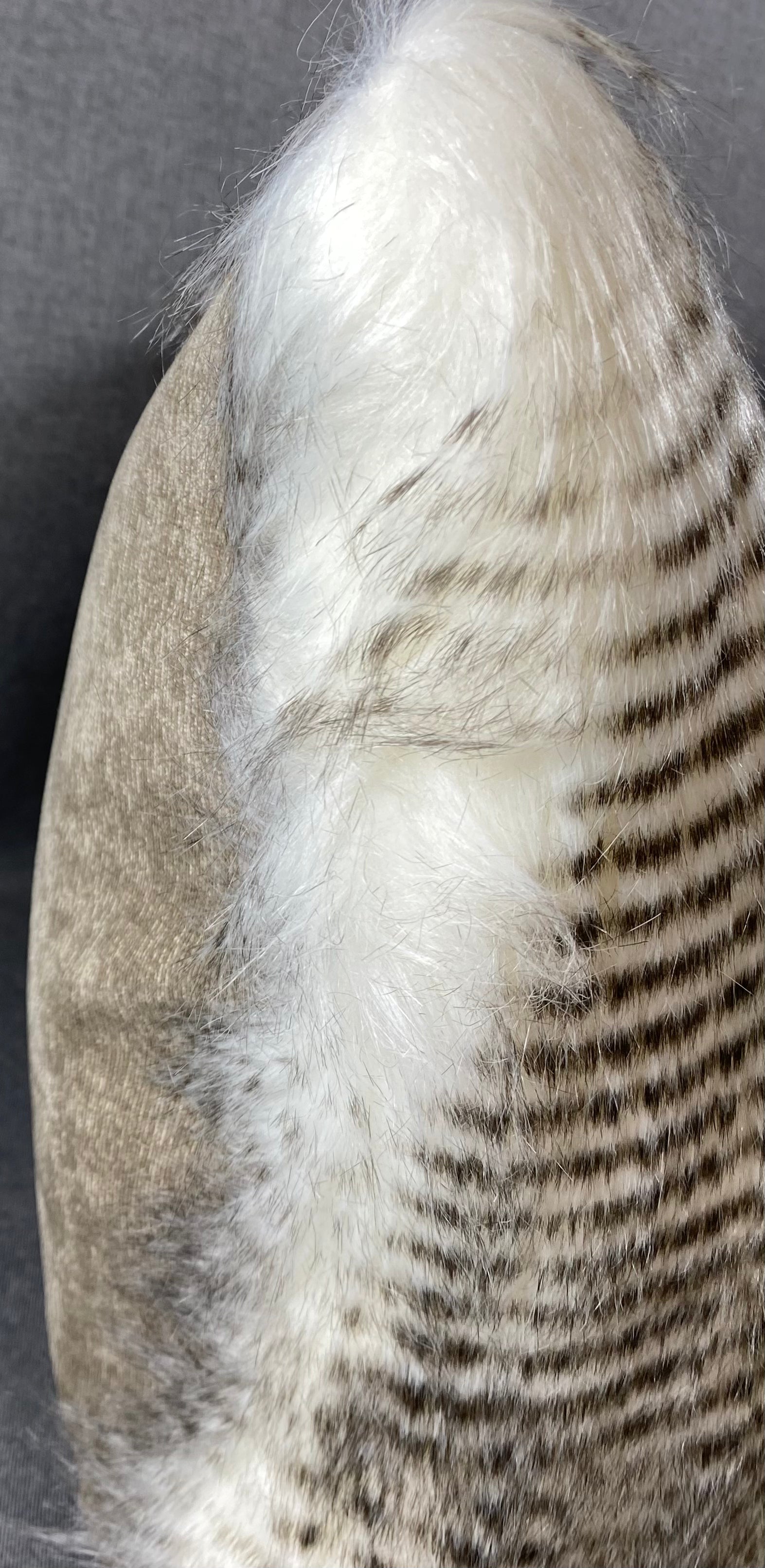 Luxury Lumbar Pillow - 24" x 14"-  Alaskan Hawk