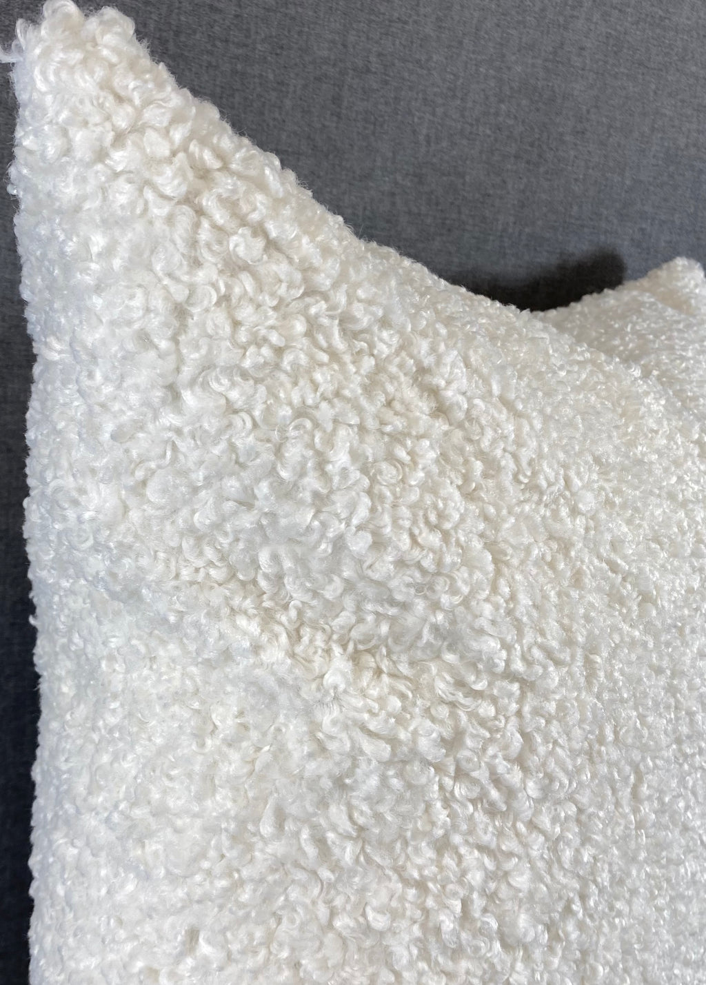 Luxury Pillow -  24" x 24" -  Poodle Cloud