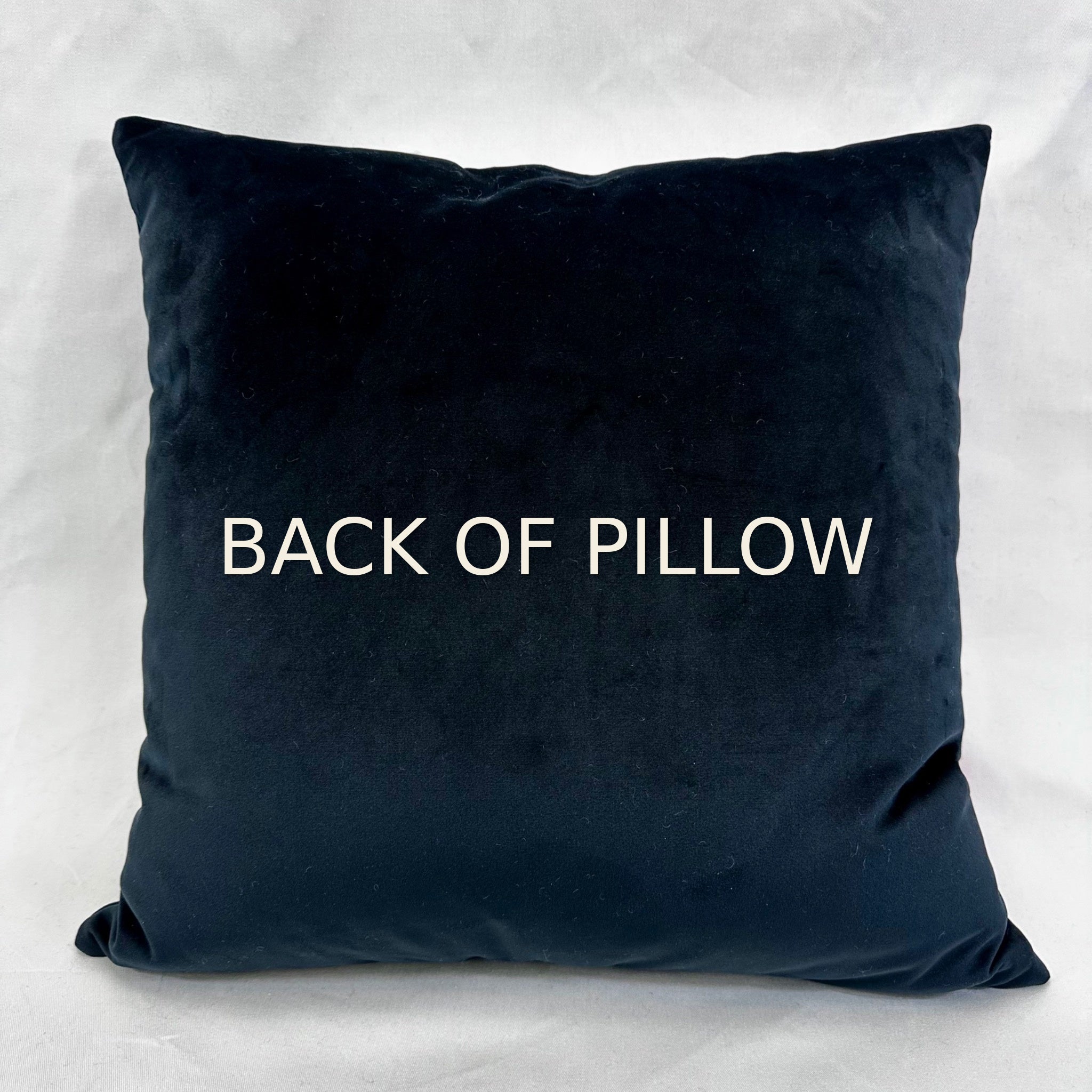 A square black velvet throw pillow with the text 'BACK OF PILLOW' printed in white capital letters on the front, set against a light gray fabric background.
