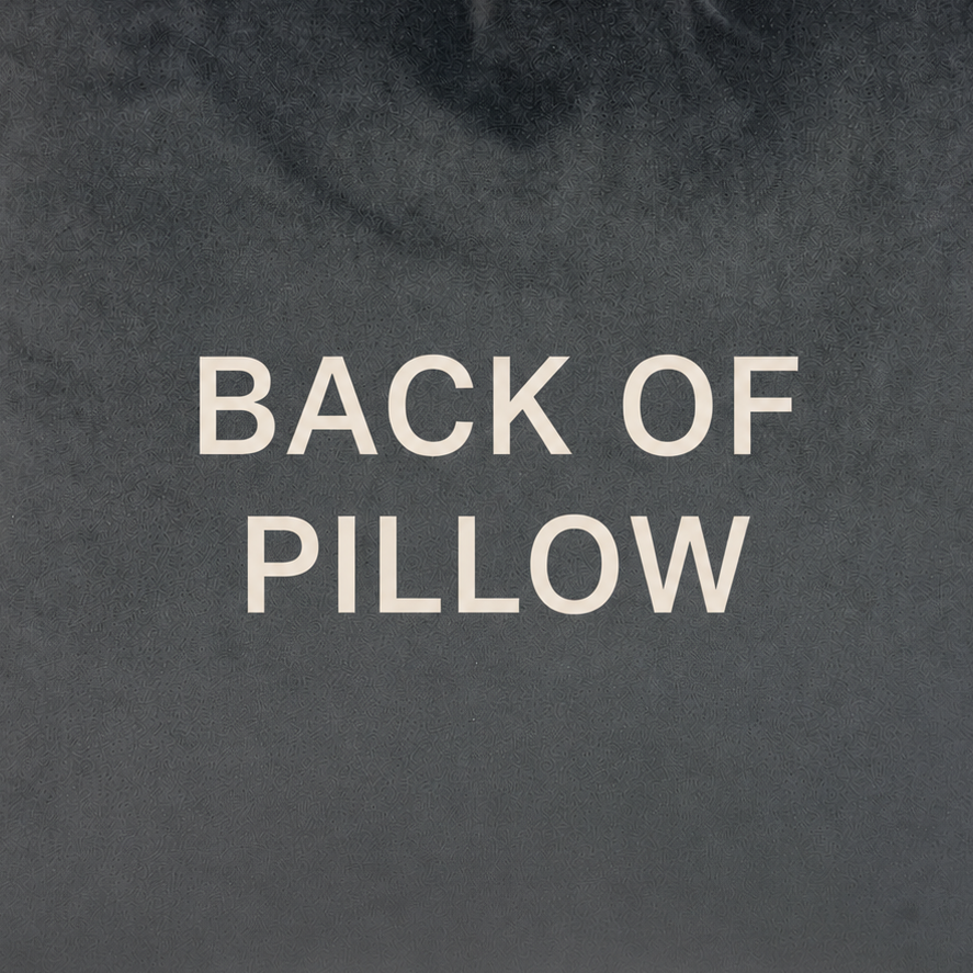 A square dark gray velvet throw pillow with the words 'BACK OF PILLOW' printed in cream-colored capital letters on the front, set against a light gray background.