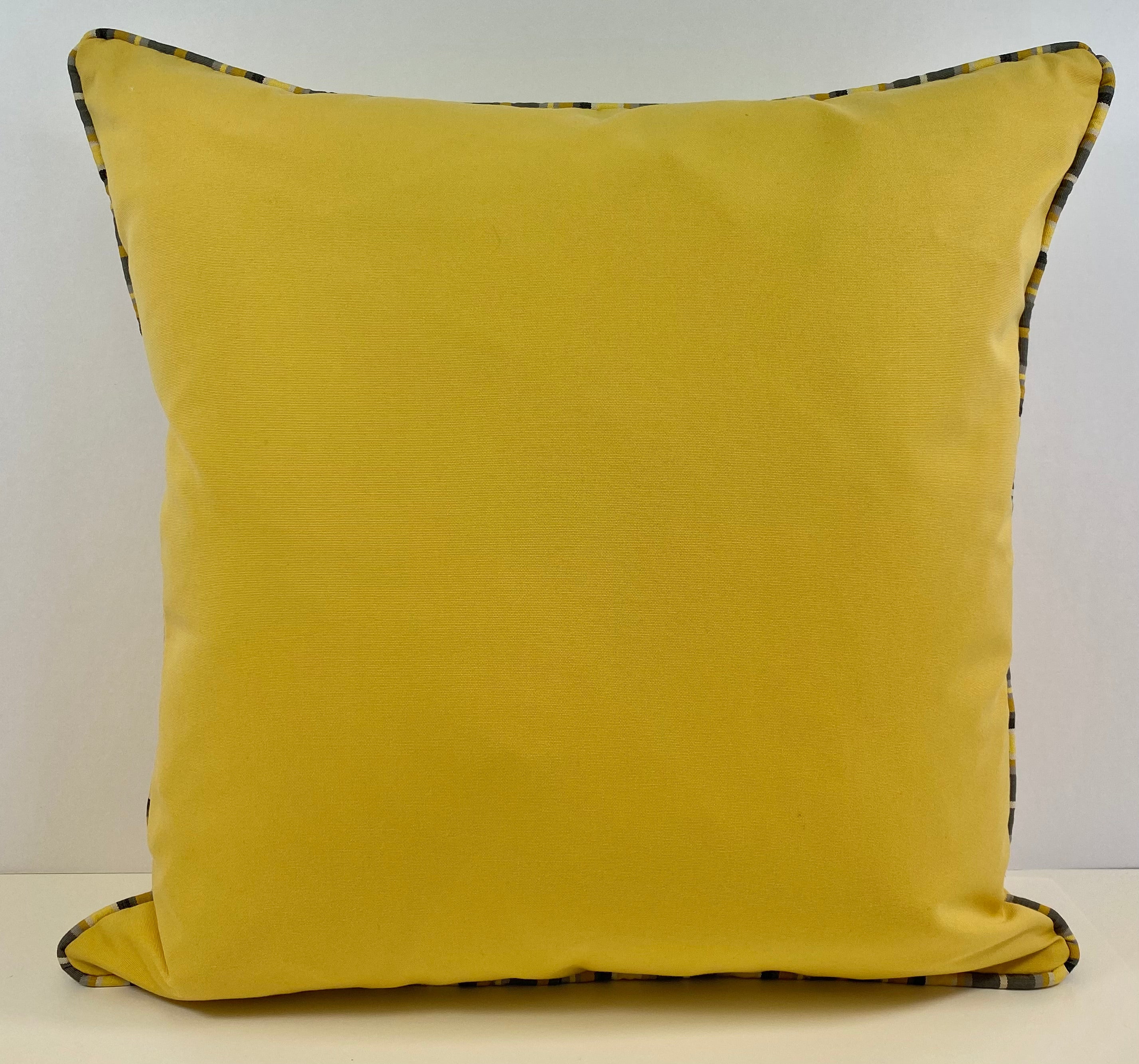 Luxury Outdoor Pillow - 22" x 22" - Seville Juice